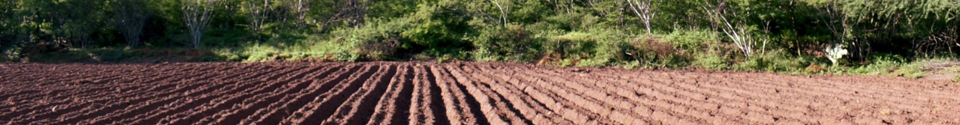 Simposio: Sistemas Agroforestales de México y su aporte en la resolución de problemas socioecológicos