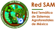 Red-SAM